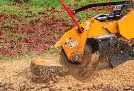 Best Pest Control for Lawns  in Buffalo, NY